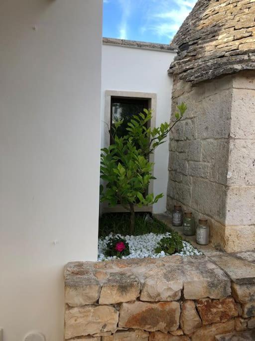 Villa Catia アルベロベッロ エクステリア 写真